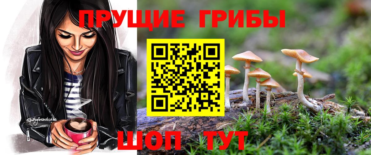 Галлюциногенные грибы Psilocybe Советск