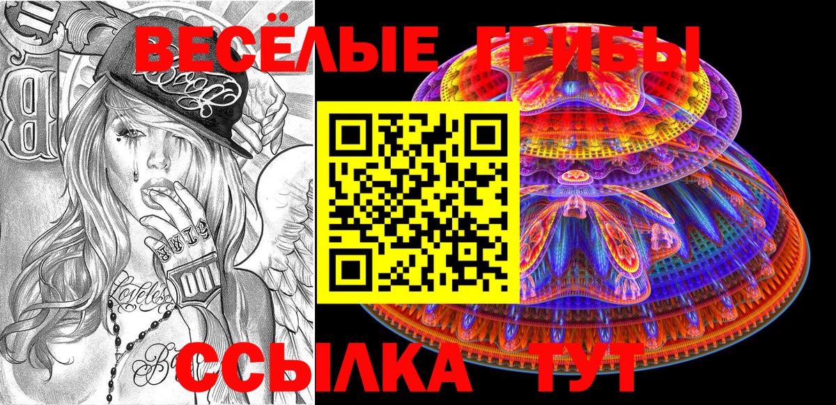 Советск  Псилоцибиновые грибы Psilocybe  Вход с VPN  Галлюциногенные грибы GOLDEN TEACHER 